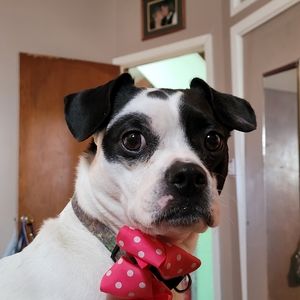 Meet your Posher, Edna